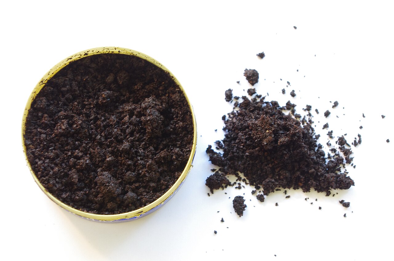 Snus tobacco in an open tin